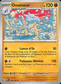 105 - Ossatueur