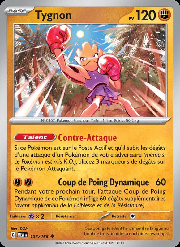 107 - Tygnon