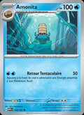 138 - Amonita