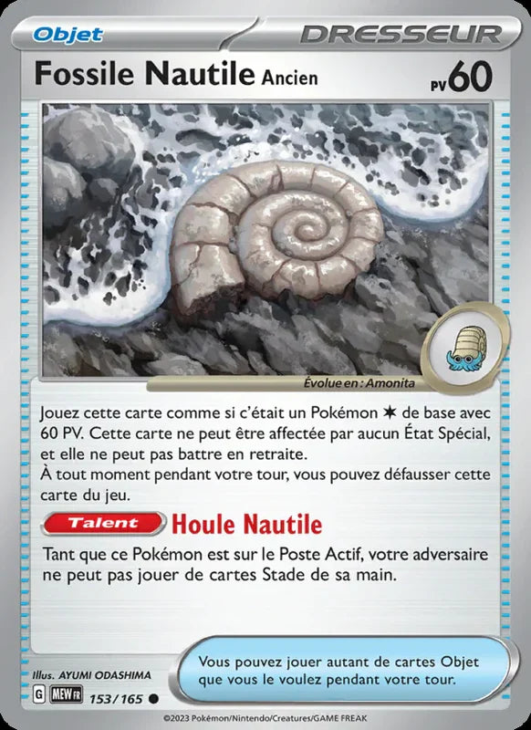 153 - Fossile Nautile Ancien