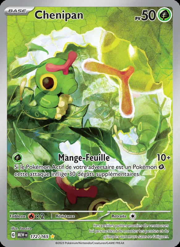 172 - Chenipan