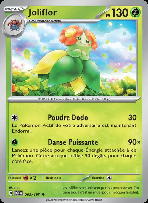 003 - Joliflor