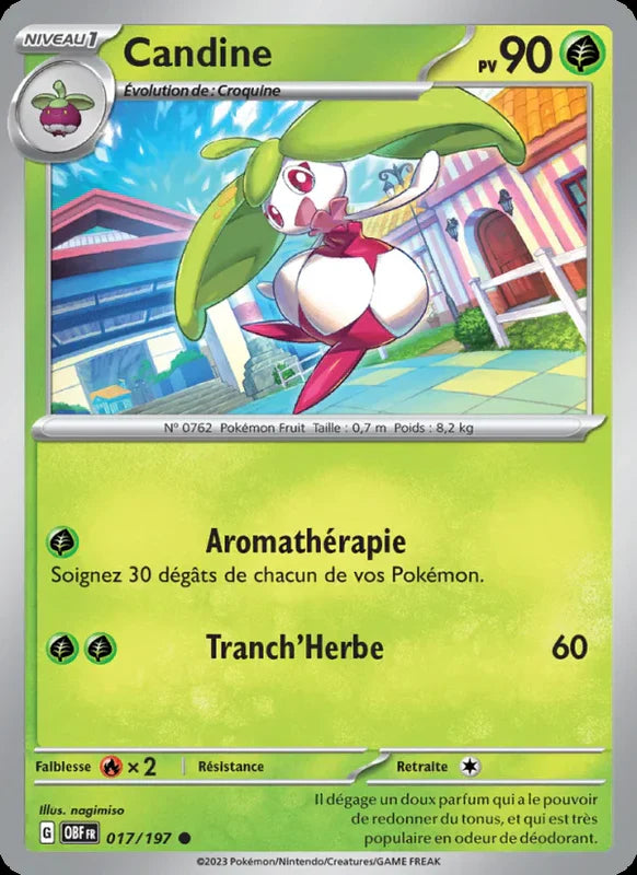 017 - Candine