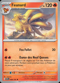 029 - Feunard