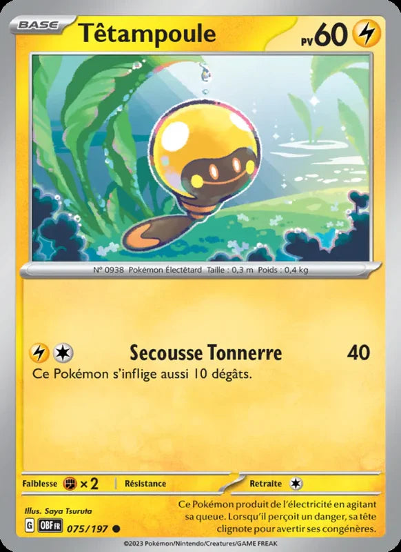 075 - Têtampoule