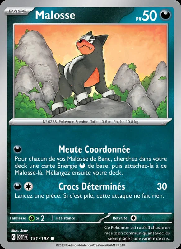 131 - Malosse