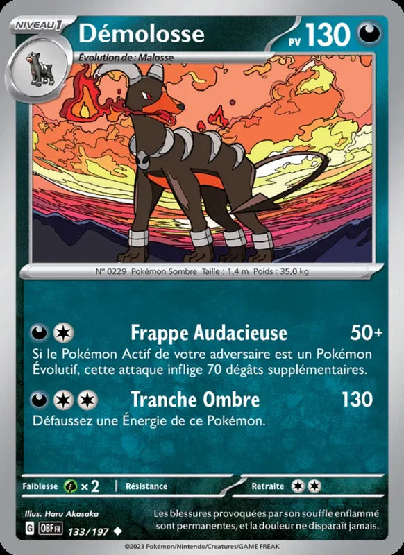 133 - Démolosse