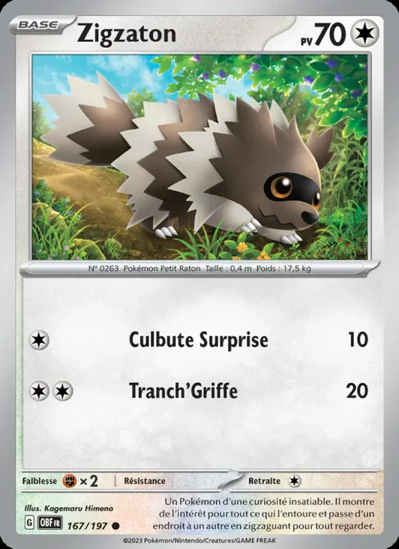 167 - Zigzaton