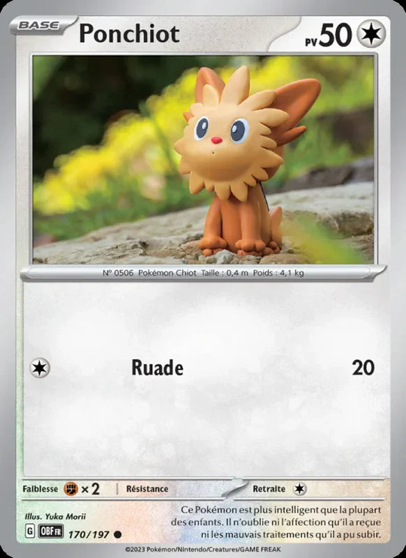 170 - Ponchiot