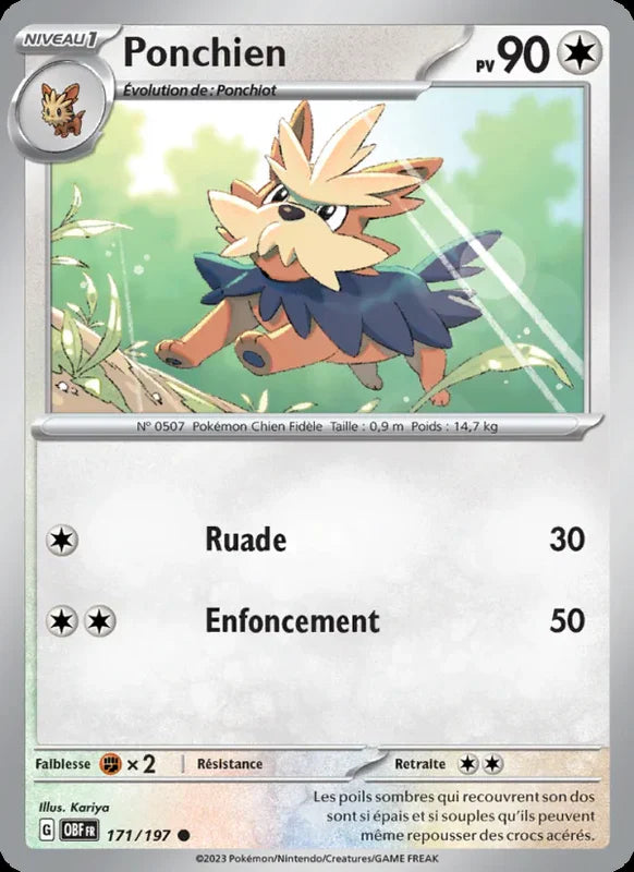 171 - Ponchien