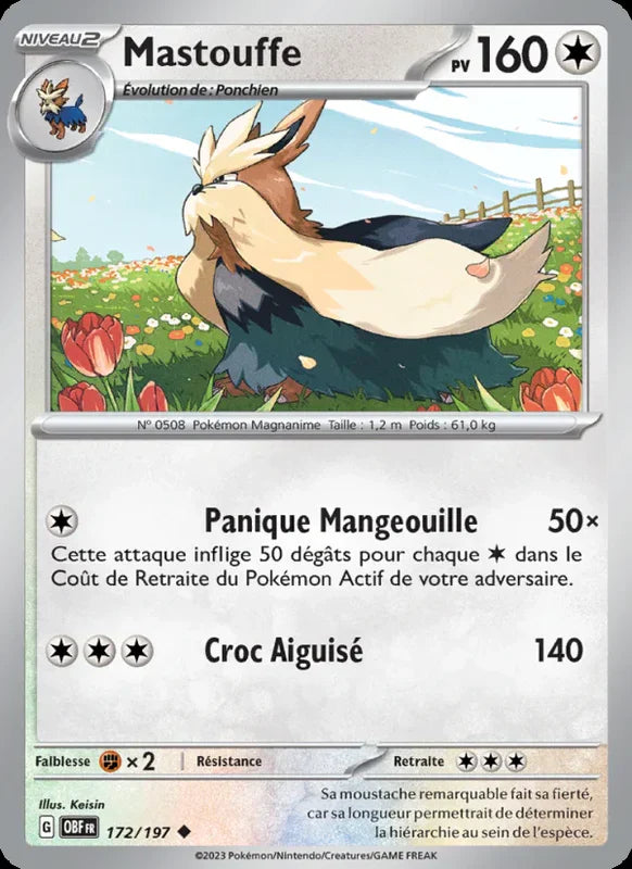 172 - Mastouffe