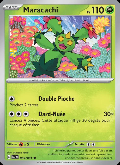 003 - Maracachi
