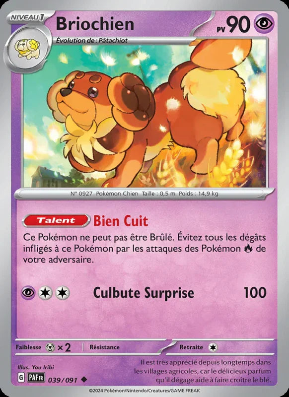 039 - Briochien