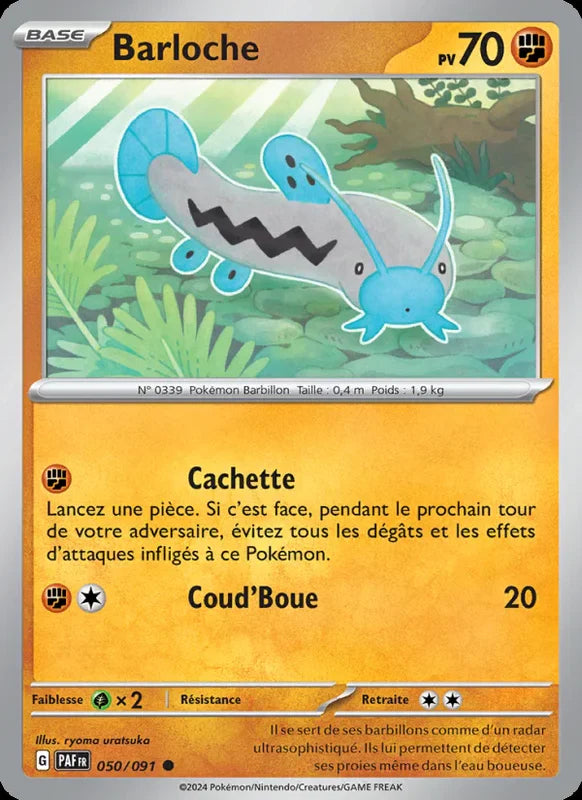 050 - Barloche