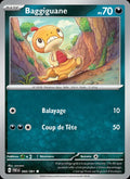 060 - Baggiguane