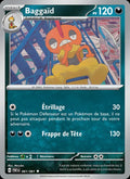 061 - Baggaïd