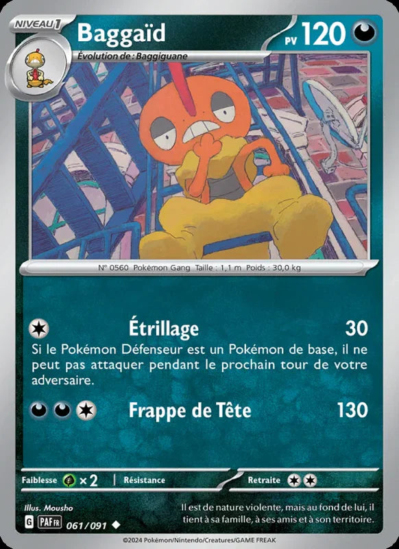 061 - Baggaïd