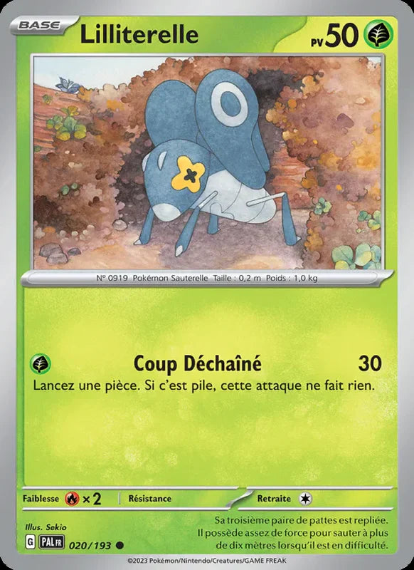 020 - Lilliterelle