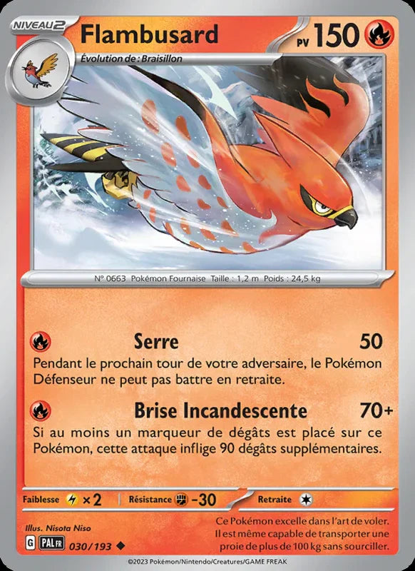 030 - Flambusard