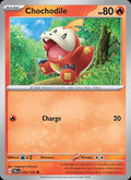 034 - Chochodile