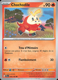 035 - Chochodile