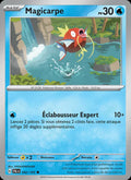 042 - Magicarpe