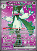 231 - Miascarade-ex