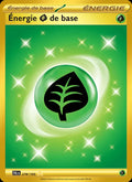 278 - Energie Grass de base