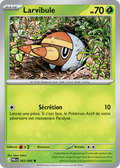 002 - Larvibule