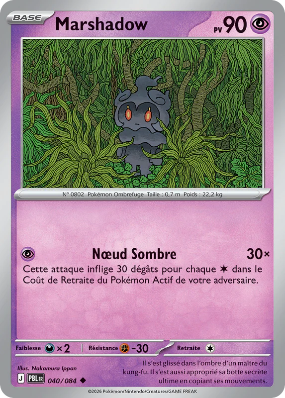 040 - Marshadow
