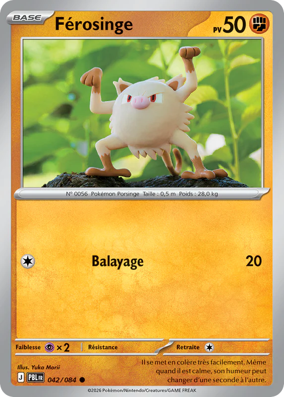 042 - Férosinge