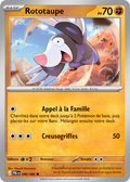 046 - Rototaupe