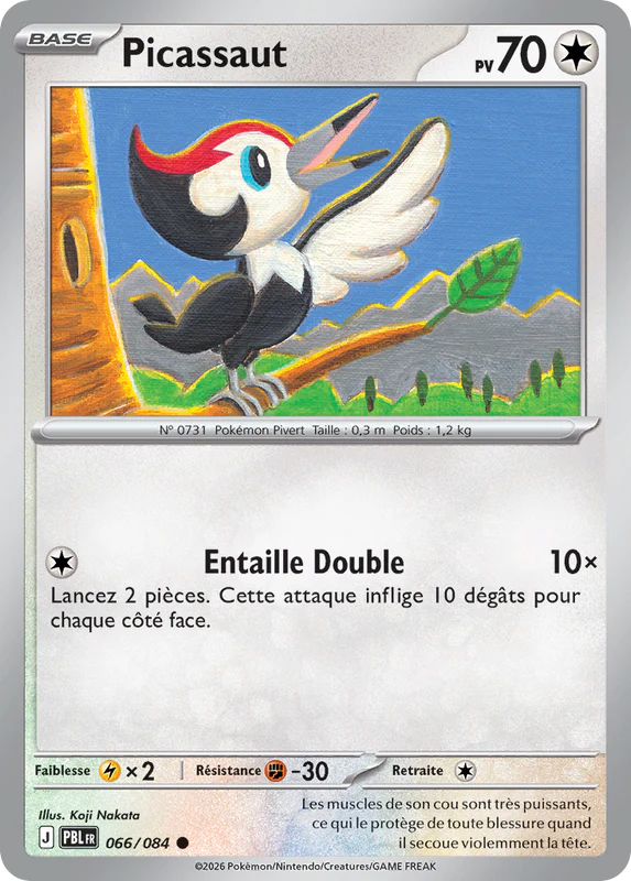 066 - Picassaut