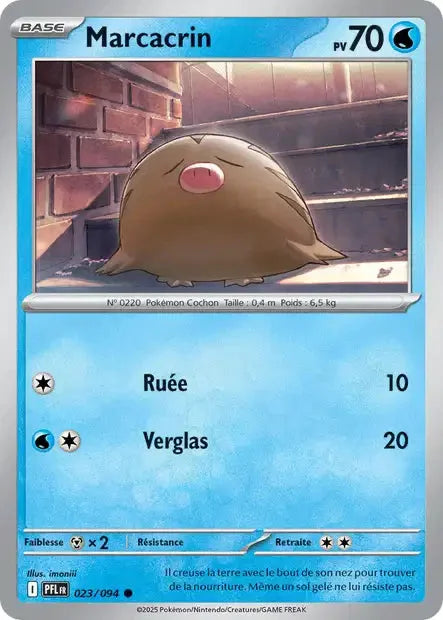 023 - Marcacrin