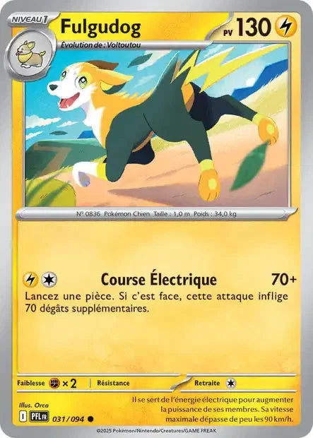 031 - Fulgudog