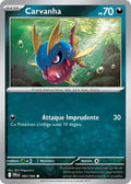 060 - Carvanha