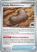 068 - Fossile Machoire Ancien