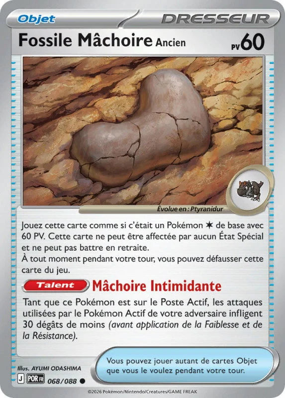 068 - Fossile Machoire Ancien
