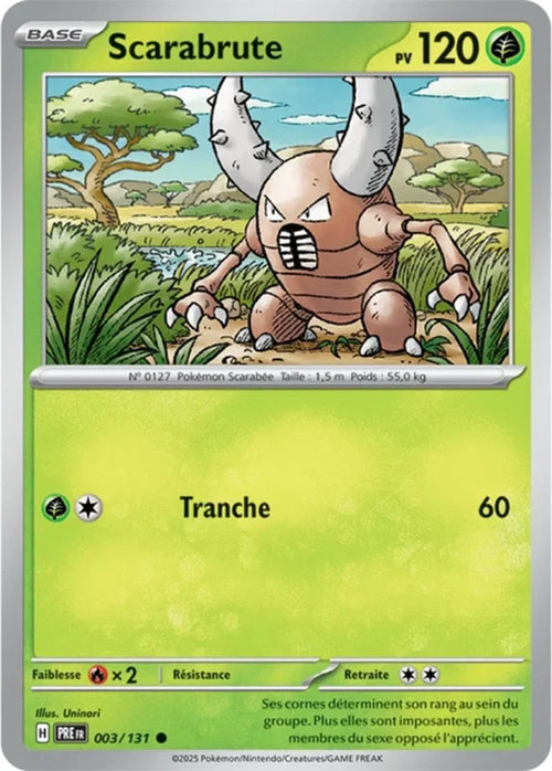 003 - Scarabrute