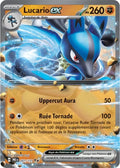 051 - Lucario
