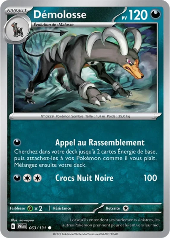 063 - Démolosse