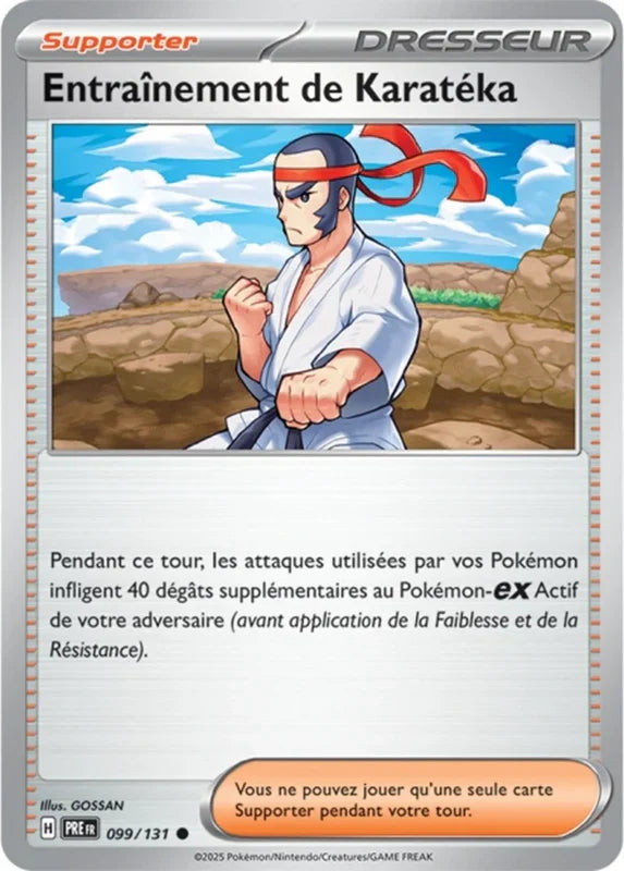 099 - Entraînement de Karatéka