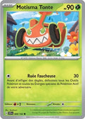 008 - Motisma Tonte