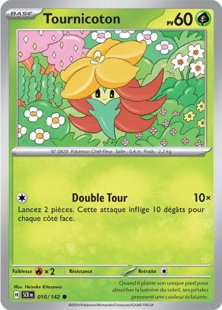 010 - Tournicoton