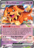 067 - Briochien