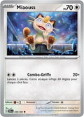 048 - Miaouss