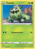 004 - Cacnea