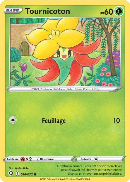 014 - Tournicoton