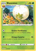 015 - Blancoton