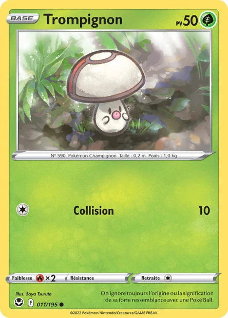 11 - Trompignon
